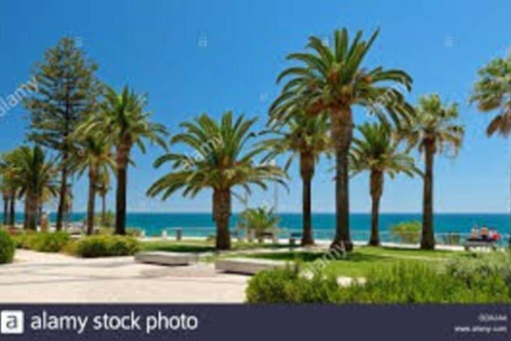 Cozy Ap Renovado 1ª Linha De Praia - Armacao Pera Армасан-де-Пера Экстерьер фото